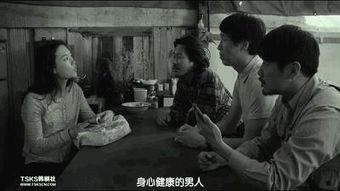 电影春梦在线观看,一场穿越时空的浪漫邂逅