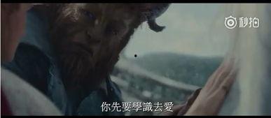 看见野兽在线观看,跟随看见野兽在线观看，揭秘神秘生物世界