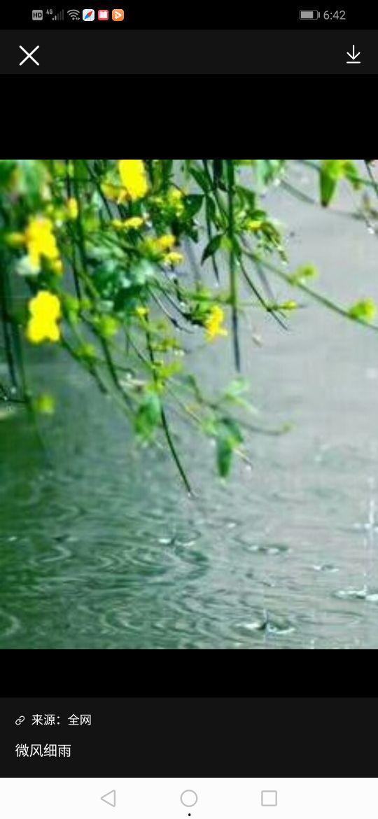 微风细雨图片大全,诗意盎然的浪漫画卷