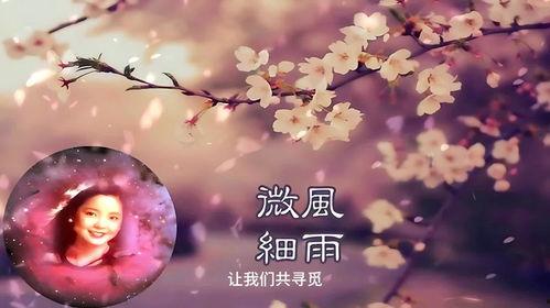 微风细雨图片大全,诗意盎然的浪漫画卷