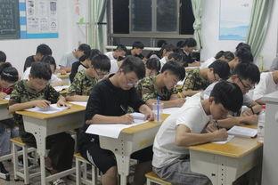 基本礼仪视频教学,学生必备的礼仪知识解析