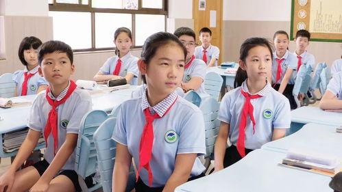 基本礼仪视频教学,学生必备的礼仪知识解析