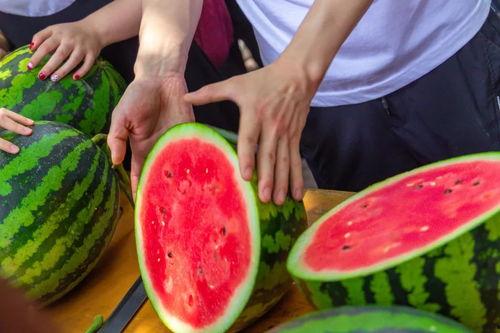 今日吃瓜茂名,揭秘热点事件背后的真相