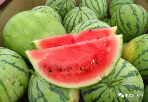 今日吃瓜茂名,揭秘热点事件背后的真相