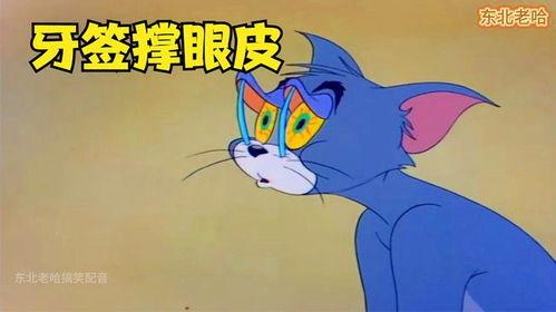 汤姆困了的图片大全,趣味横生的猫咪梦境大揭秘