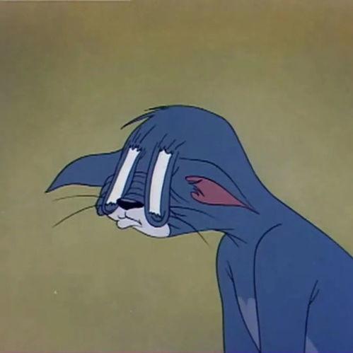 汤姆困了的图片大全,趣味横生的猫咪梦境大揭秘