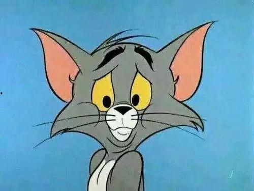 汤姆困了的图片大全,趣味横生的猫咪梦境大揭秘