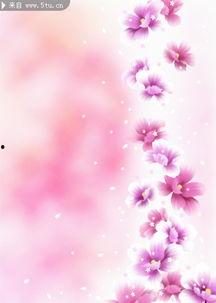 花背景图片,花海映衬下的诗意世界