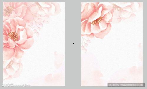 花背景图片,花海映衬下的诗意世界