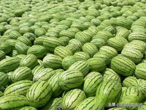 718热门大瓜吃瓜爆料,揭秘娱乐圈最新爆料风云