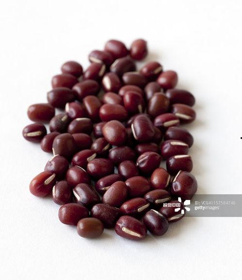 真正的相思豆图片,相思之情，豆香满溢