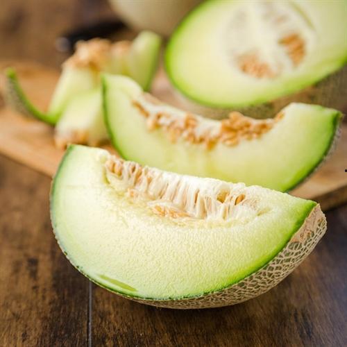 什么鱼吃黑蜜瓜最好养呢,黑蜜瓜的完美伴侣