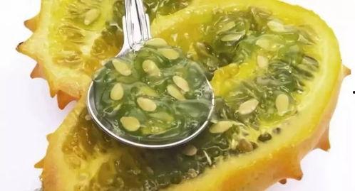 什么鱼吃黑蜜瓜最好养呢,黑蜜瓜的完美伴侣