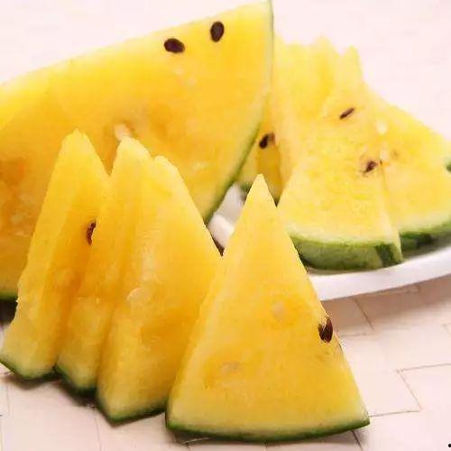 什么鱼吃黑蜜瓜最好养呢,黑蜜瓜的完美伴侣