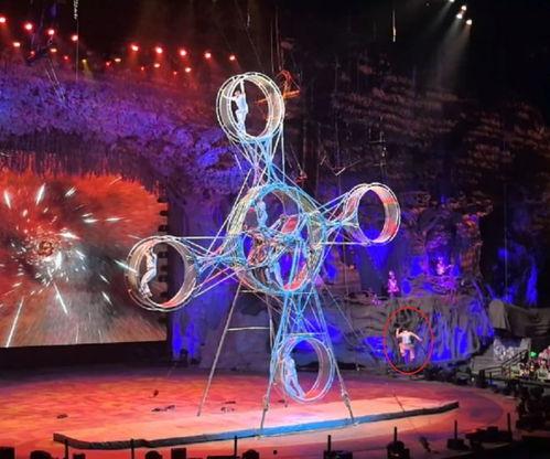 马戏团表演视频,惊险刺激！马戏团表演视频精彩瞬间回顾