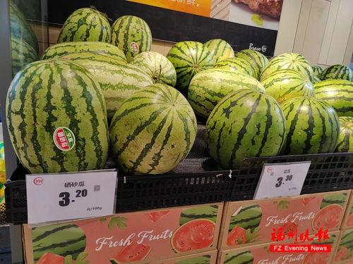 石头瓜今日行情价格,价格波动解析与市场趋势洞察”