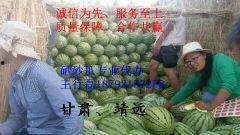 石头瓜今日行情价格,价格波动解析与市场趋势洞察”