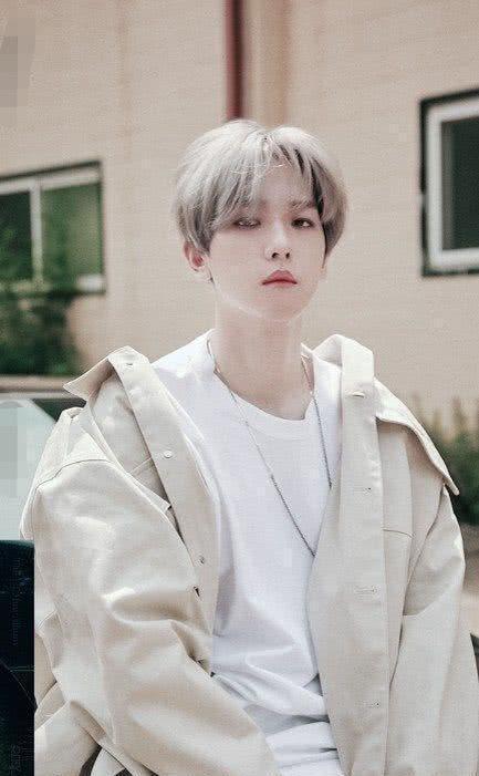 韩国艺能感,韩国艺能界的魅力与魅力背后的故事