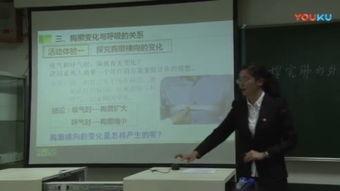 初中实验视频,探索科学奥秘的精彩瞬间