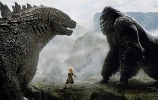 金刚日本飞行员,日本飞行员传奇