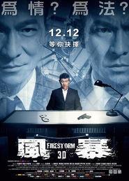 风暴国语在线观看,激情燃烧的复仇之旅