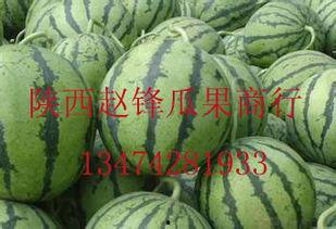 北海哈密瓜今日行情价,品质佳价优，市场反响热烈”