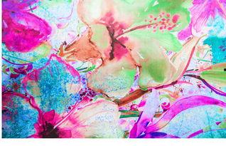 水粉图片大全,色彩斑斓的艺术世界掠影
