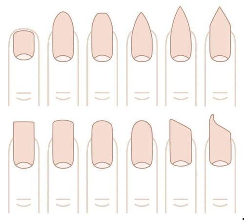 甲型图片,探寻其背后的故事与意义