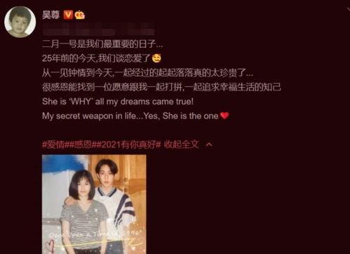 妻失格在线观看,揭秘婚姻破裂背后的真相