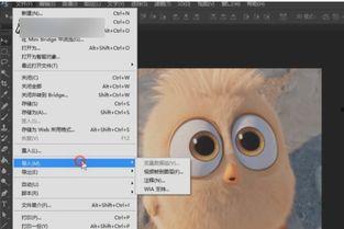动态图片压缩,揭秘图片处理新篇章