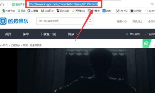 怎么下载视频里的音乐,一键获取心仪曲目