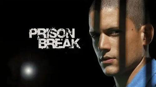 越狱三季在线观看,逃亡之路的巅峰对决