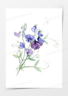 花卉图片大全,花卉图片大全赏析