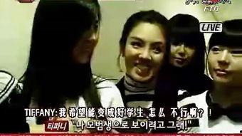 国语版我的女孩完整版,跨越时空的纯真爱情之旅