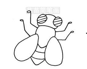 苍蝇简笔画图片大全,苍蝇简笔画，捕捉生活中的小精灵