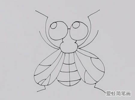 苍蝇简笔画图片大全,苍蝇简笔画，捕捉生活中的小精灵