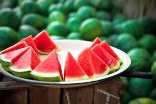 今日立秋吃瓜了没吃瓜,今日瓜香四溢，你尝了吗？