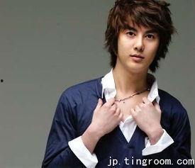 韩星日本,日本舞台绽放光芒