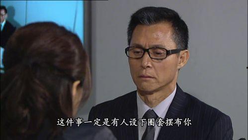 法网狙击 国语 资源,正义与邪恶的较量，揭秘法律背后的惊心动魄！