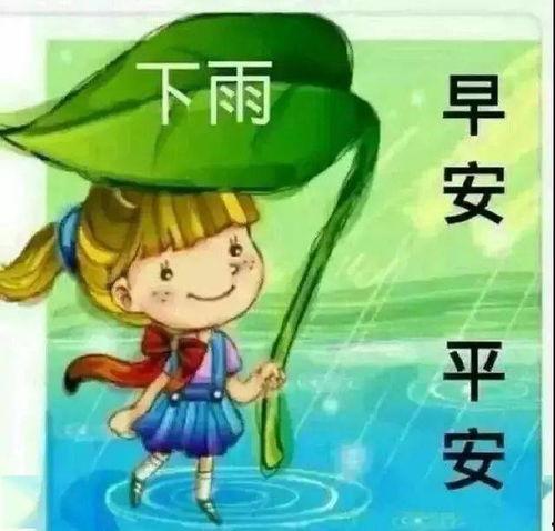 下雨天图片带字,捕捉时光的静谧瞬间