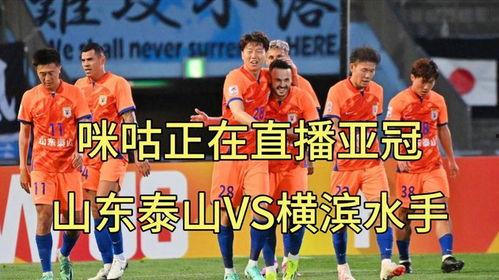 亚冠视频直播,精彩瞬间尽收眼底！