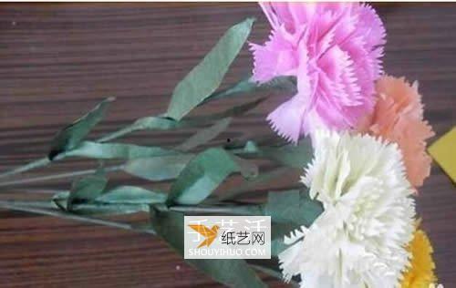 康乃馨制作视频,温馨花朵的美丽绽放