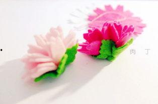 康乃馨制作视频,温馨花朵的美丽绽放