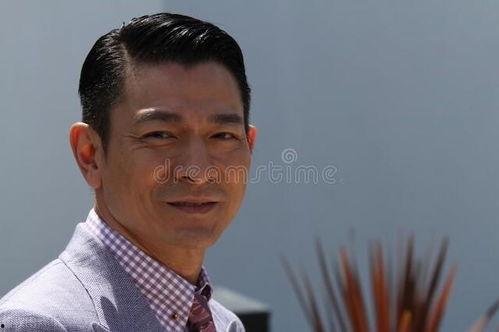 刘德华平头图片大全集,岁月流转，风华依旧