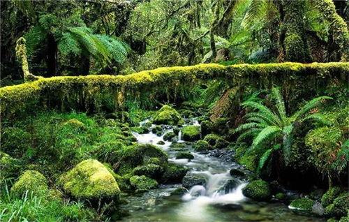 日本有热带吗,揭秘其独特的热带风情