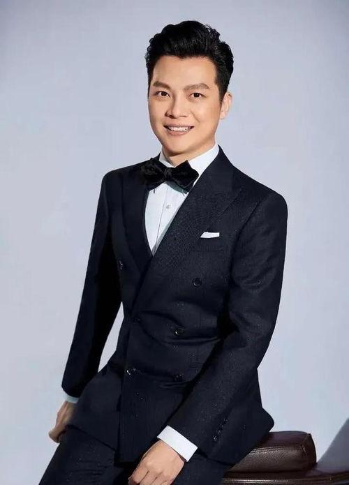 任鲁豫视频,探寻魅力主持人的幕后故事