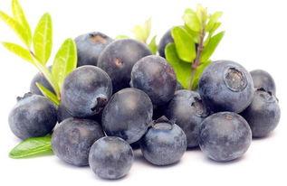 娱乐吃瓜酱蓝莓,吃瓜酱带你领略明星幕后故事