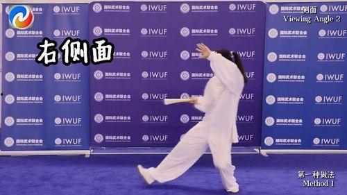 太极扇视频教学,掌握传统武术之精髓