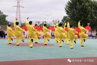 太极扇视频教学,掌握传统武术之精髓