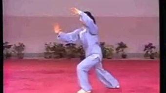 太极扇视频教学,掌握传统武术之精髓